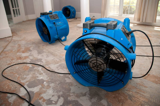 Best Mold removal after water damage  in Rochester Hills, MI