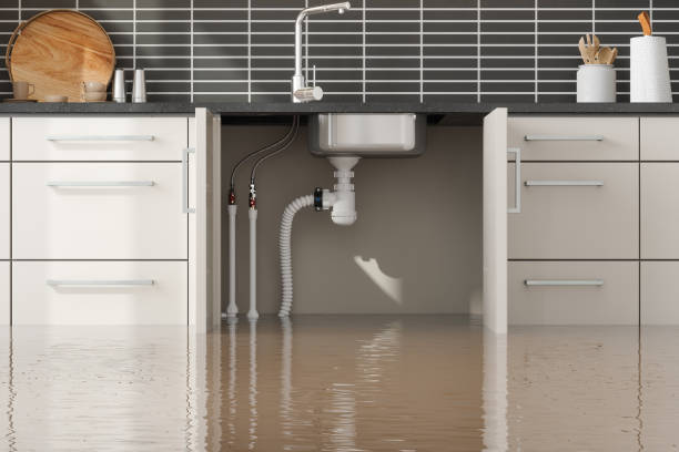 Best 24/7 water damage repair  in Rochester Hills, MI