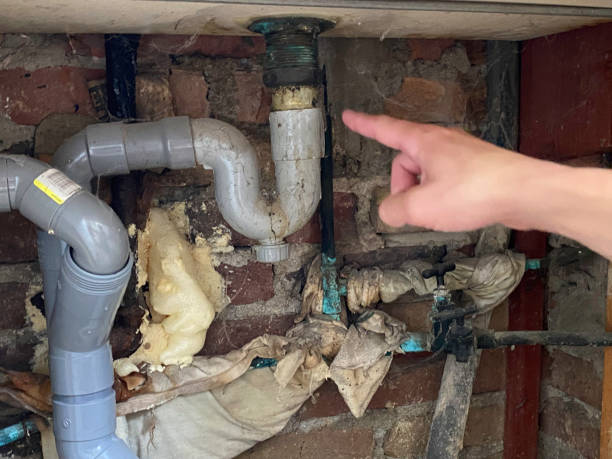 Best Water damage restoration near me  in Rochester Hills, MI