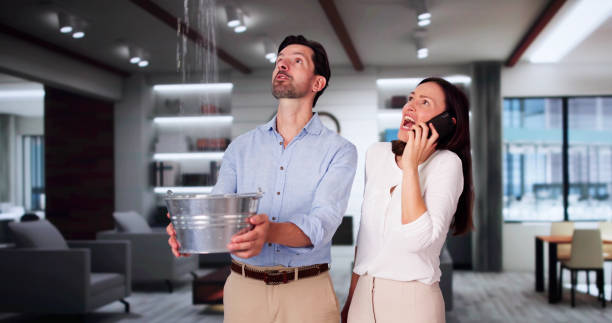 Best Ceiling water damage repair  in Rochester Hills, MI